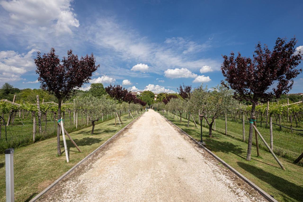 Villa Agriturismo Borgo Di Calmasino Bardolino Exterior foto