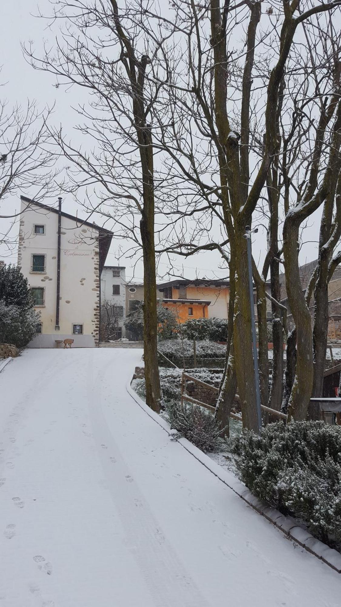 Agriturismo Borgo Di Calmasino Bardolino Exterior foto