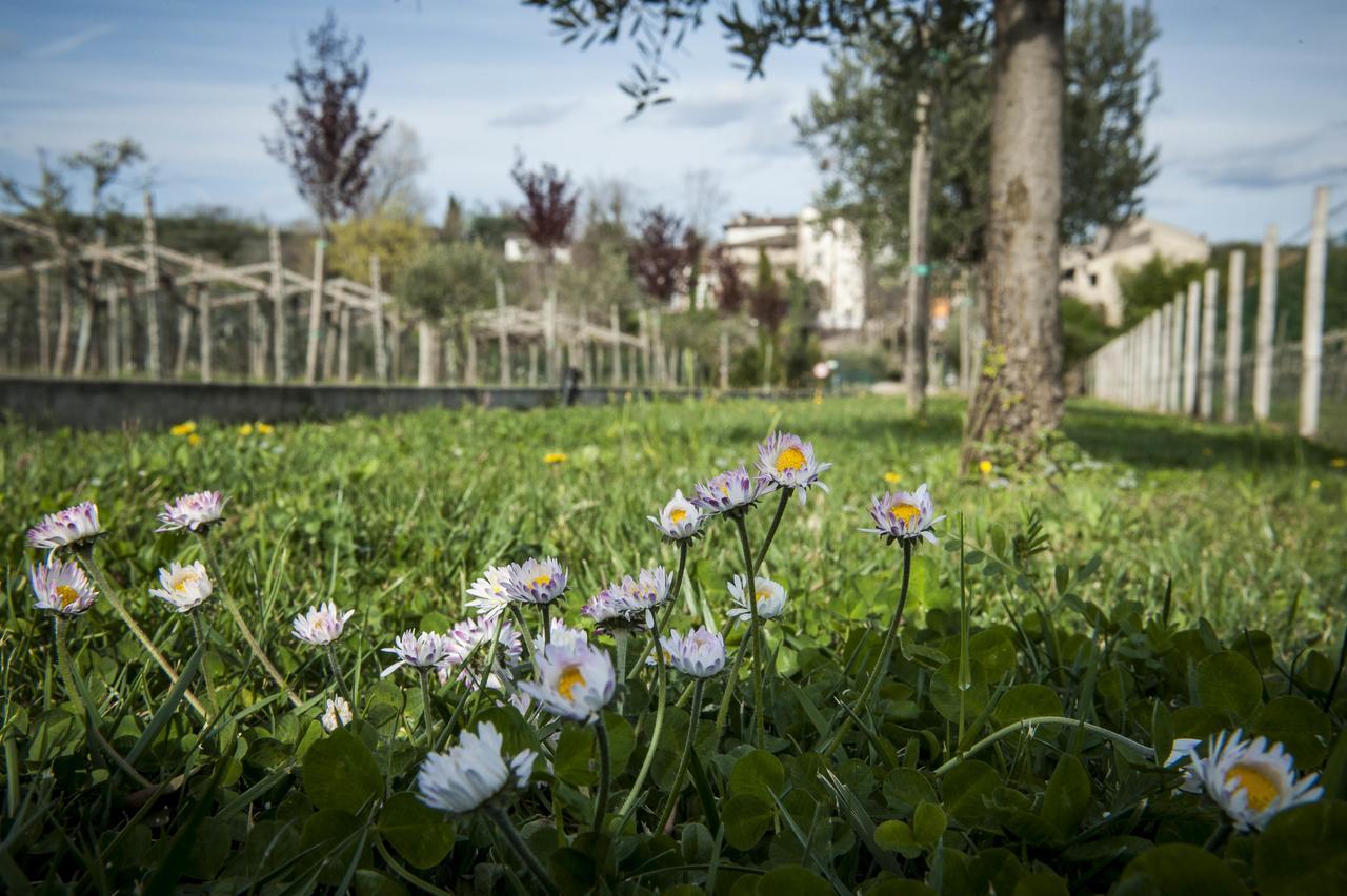 Villa Agriturismo Borgo Di Calmasino Bardolino Exterior foto